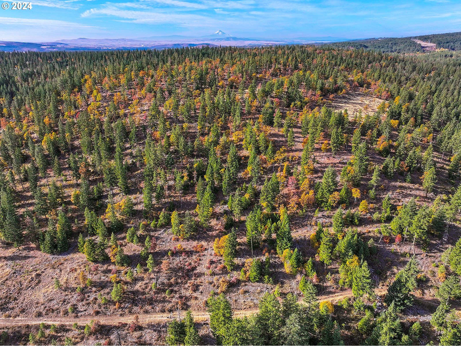 Jenkins Creek RD