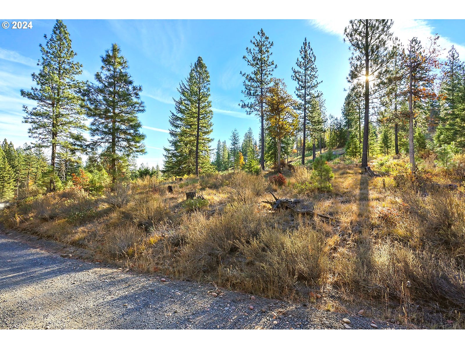 Jenkins Creek RD
