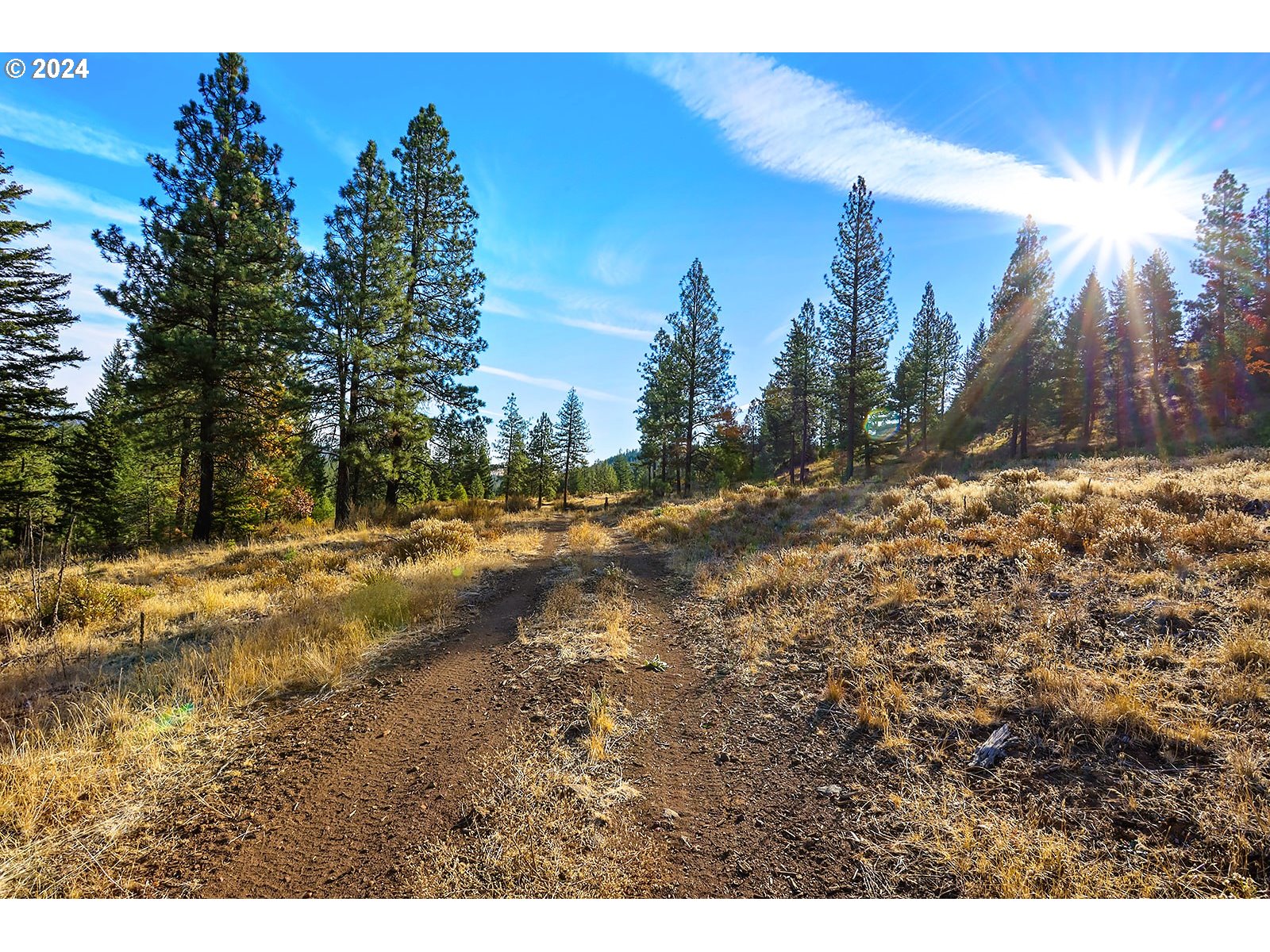 Jenkins Creek RD