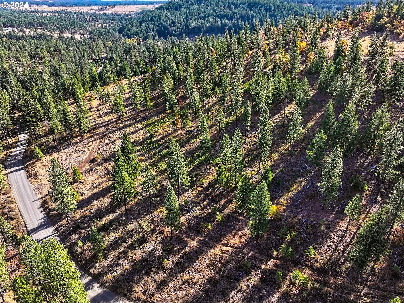 Jenkins Creek RD