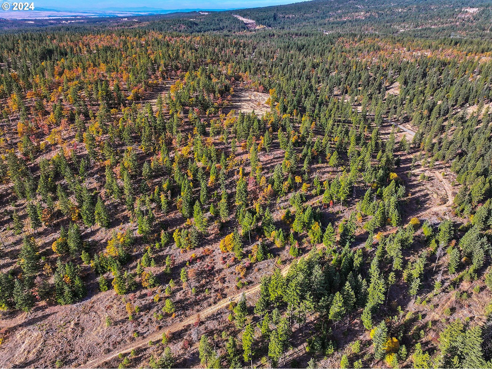Jenkins Creek RD