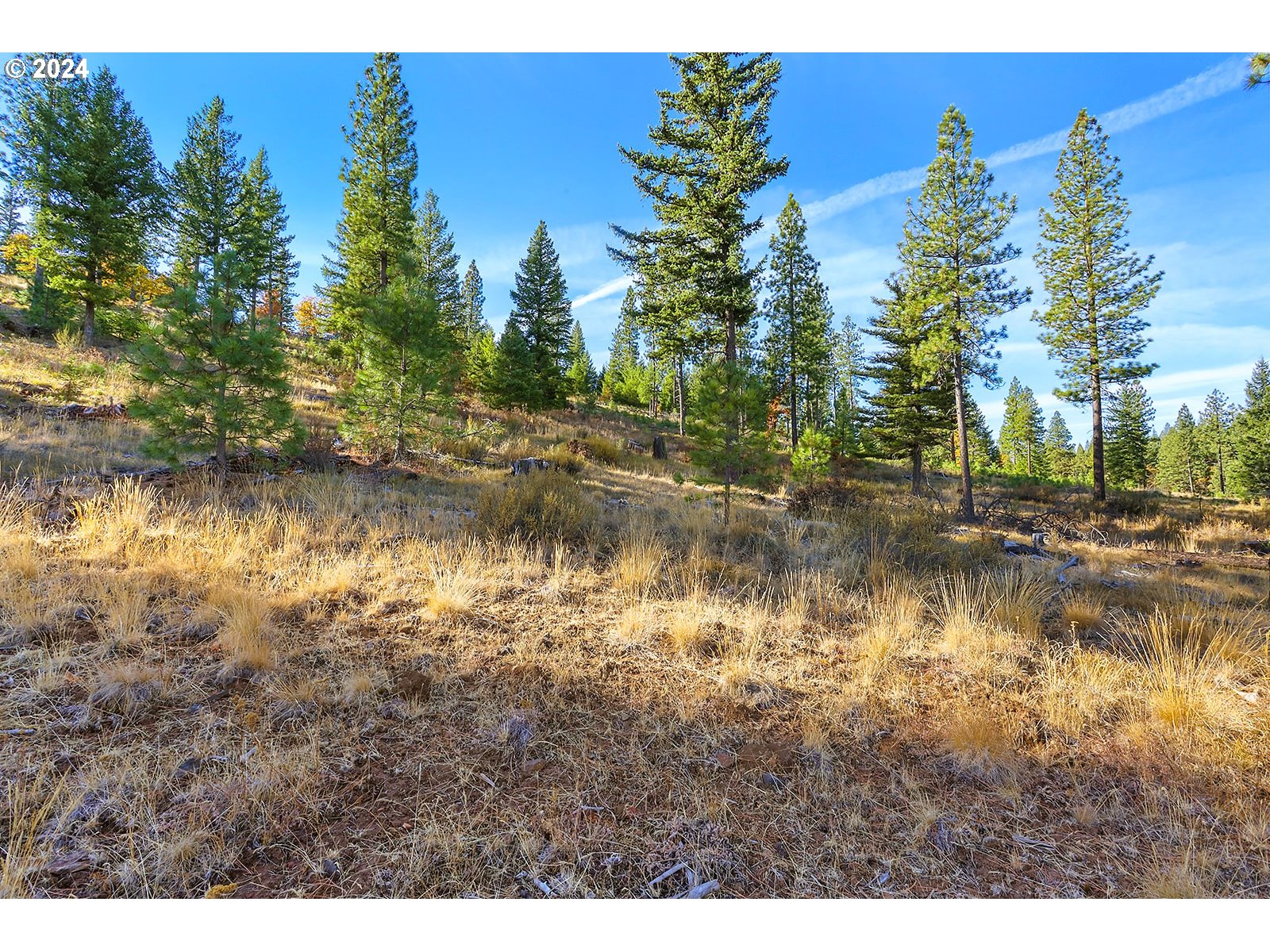 Jenkins Creek RD