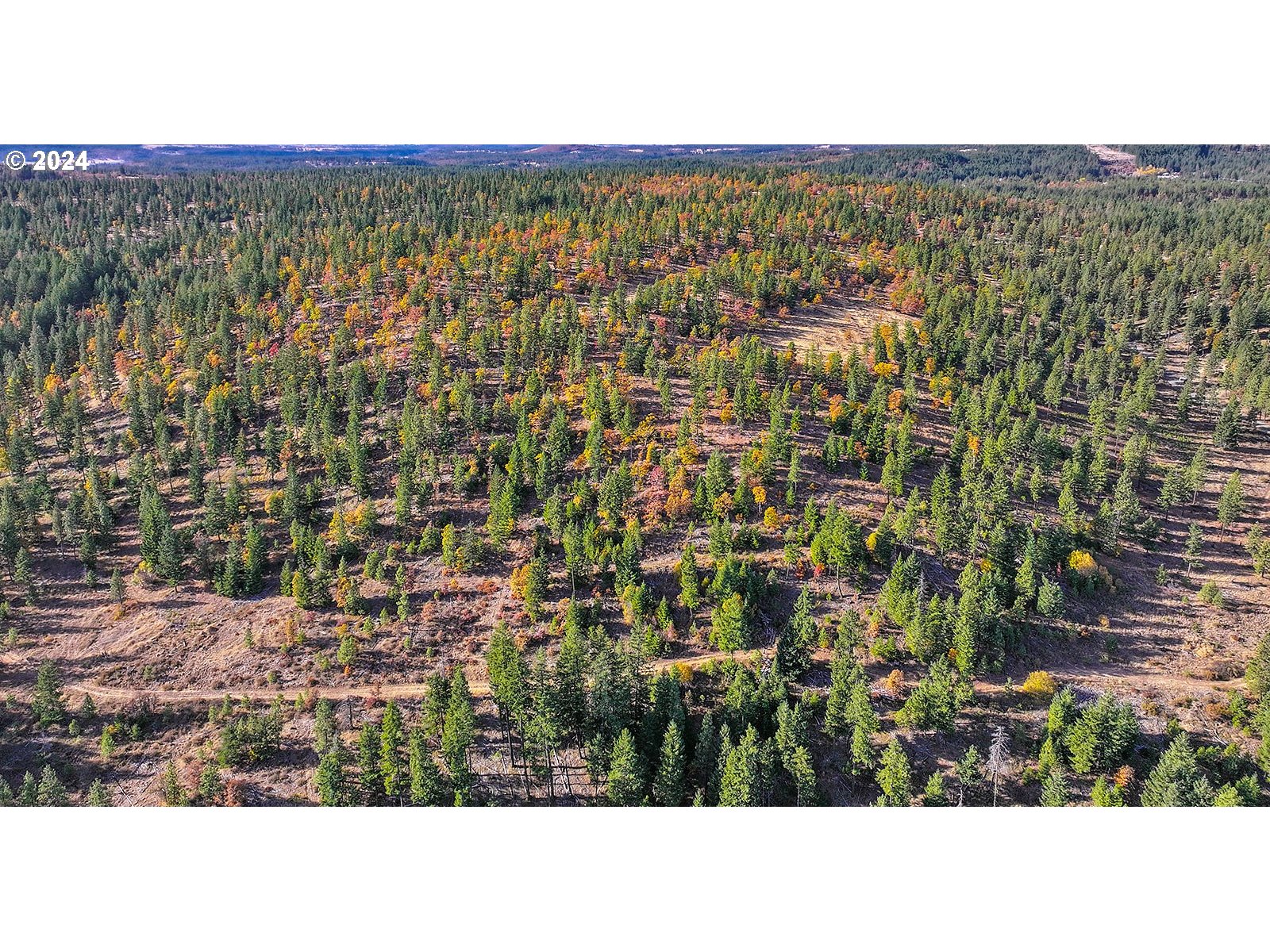 Jenkins Creek RD
