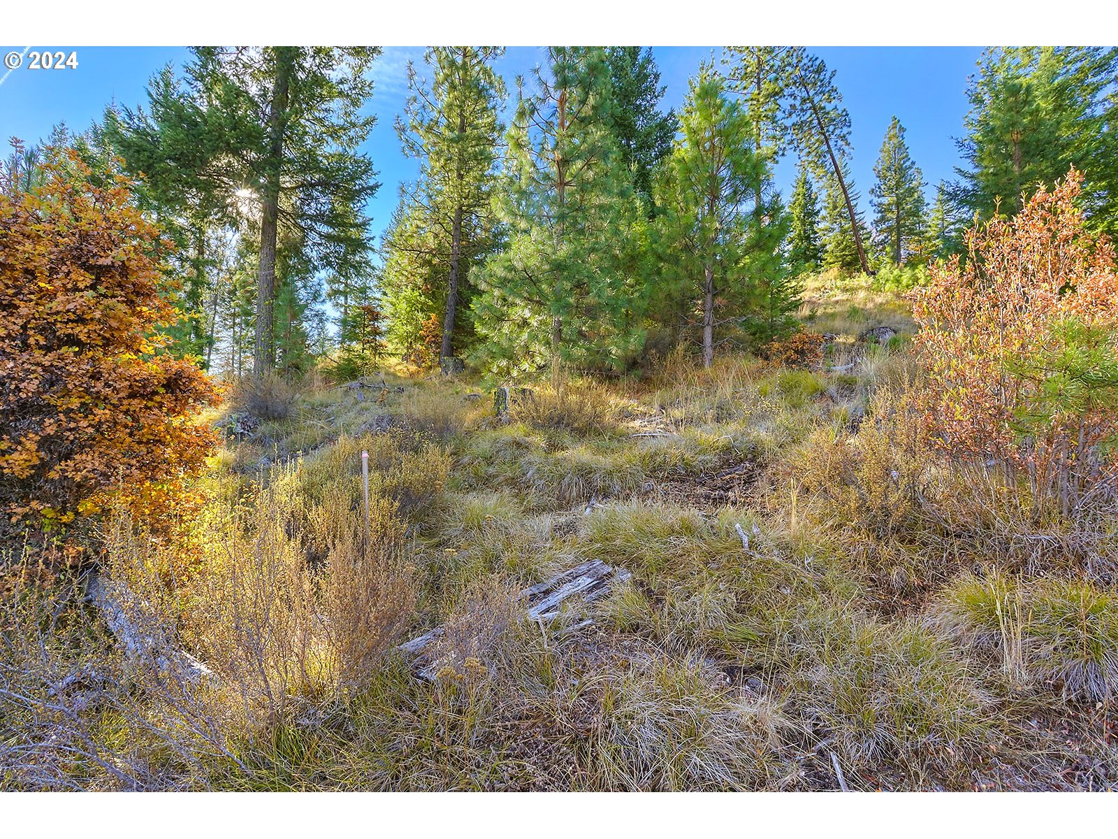 Jenkins Creek RD