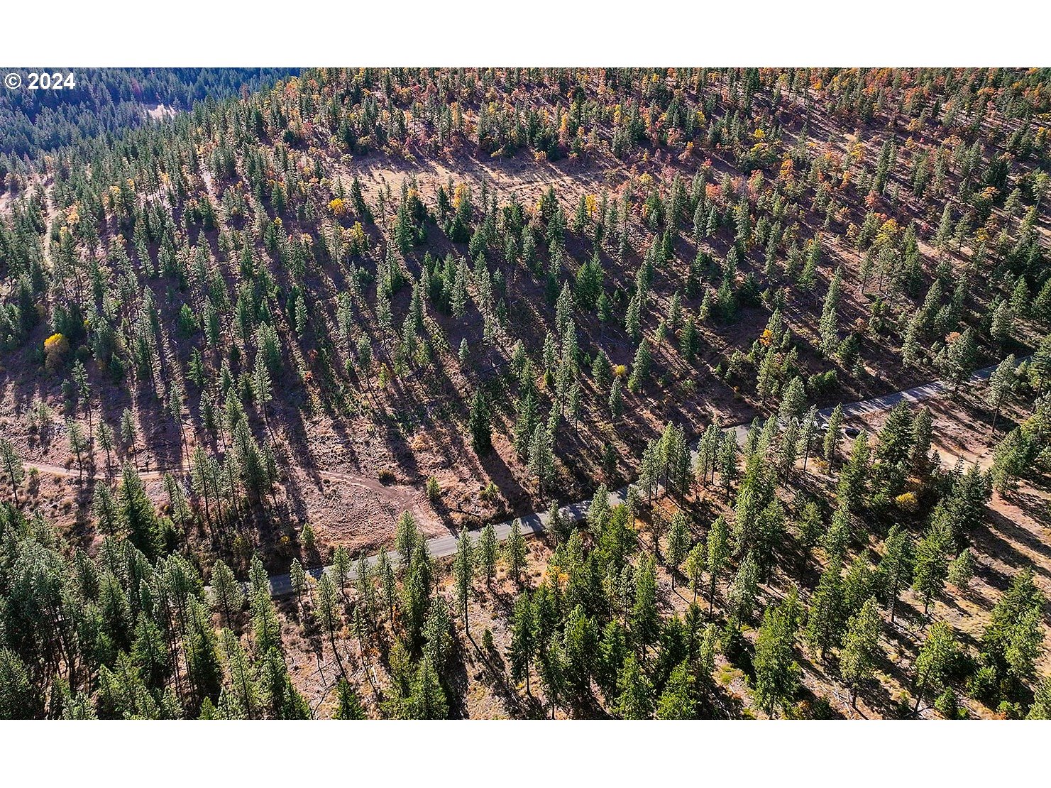 Jenkins Creek RD
