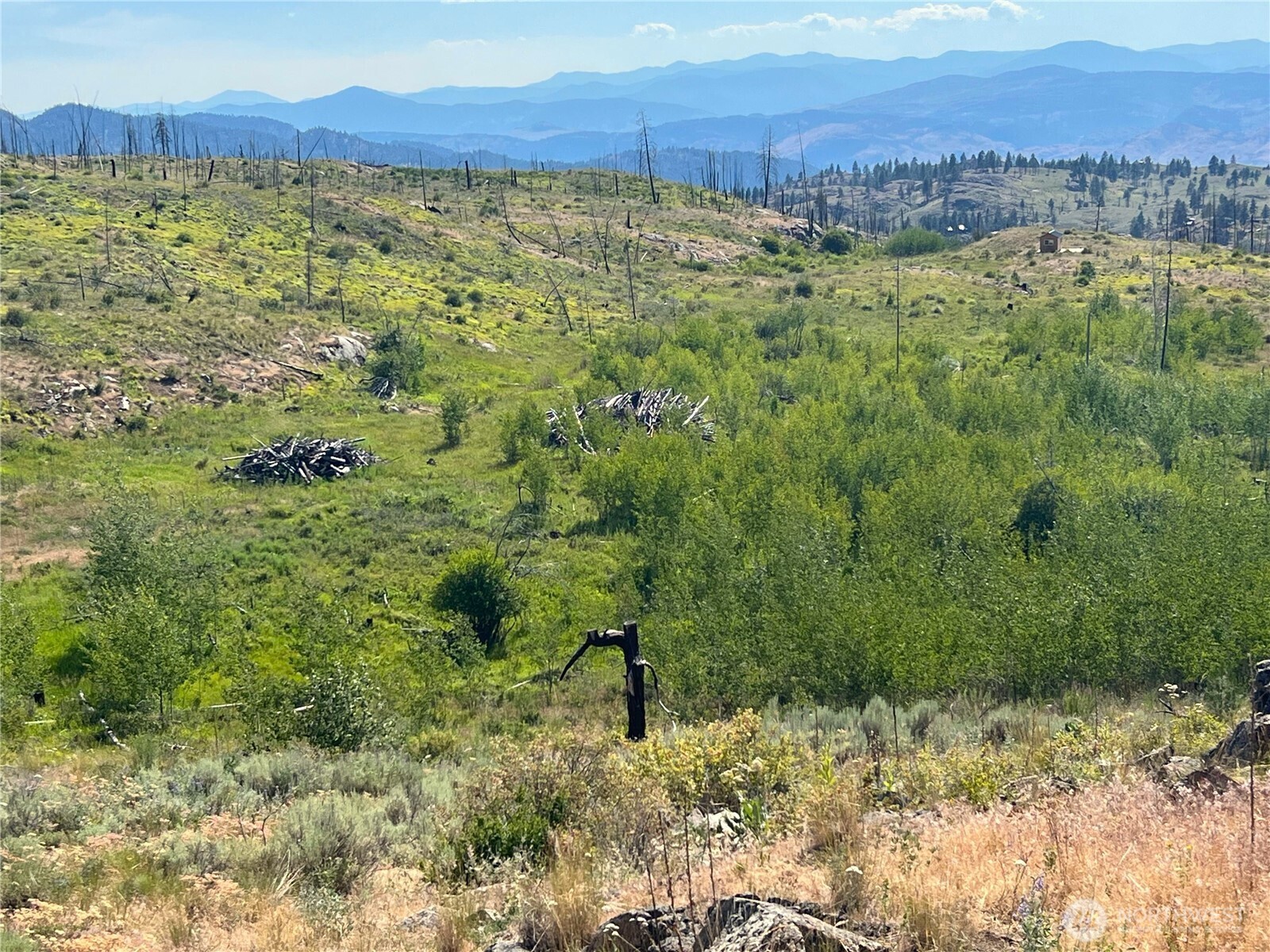 0 Lot 12 Lone Spur Road