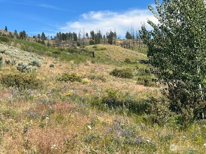 0 Lot 12 Lone Spur Road