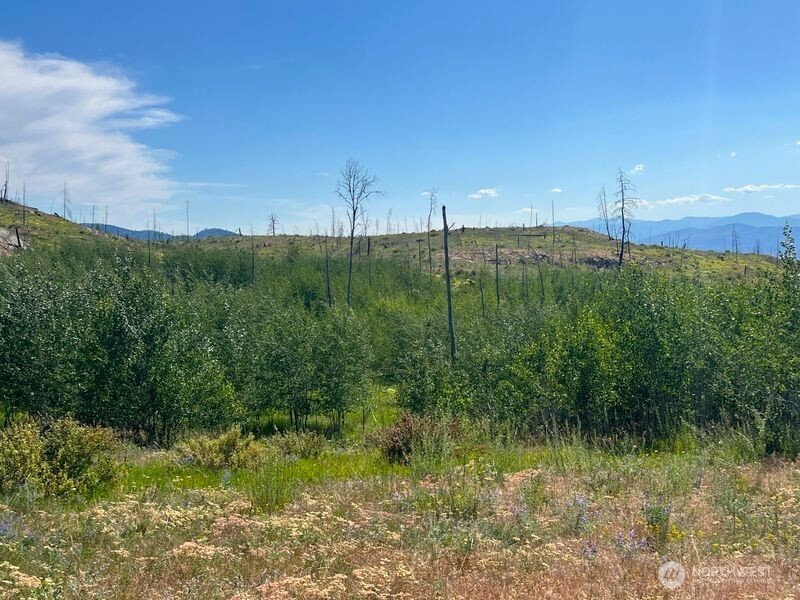 0 Lot 12 Lone Spur Road