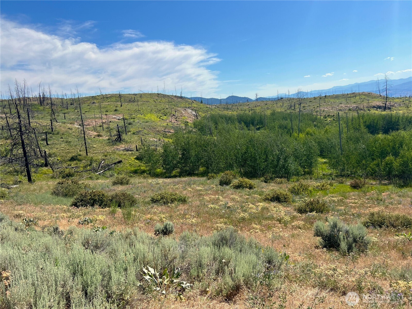 0 Lot 12 Lone Spur Road