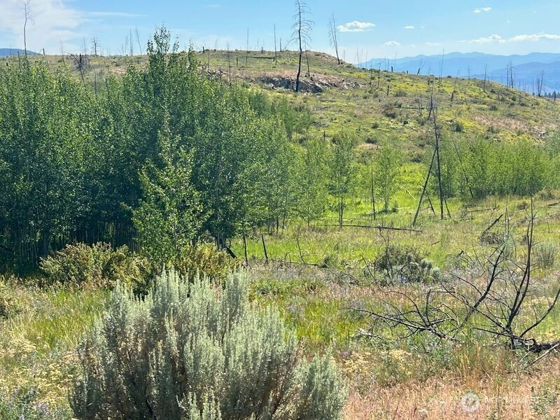 0 Lot 12 Lone Spur Road