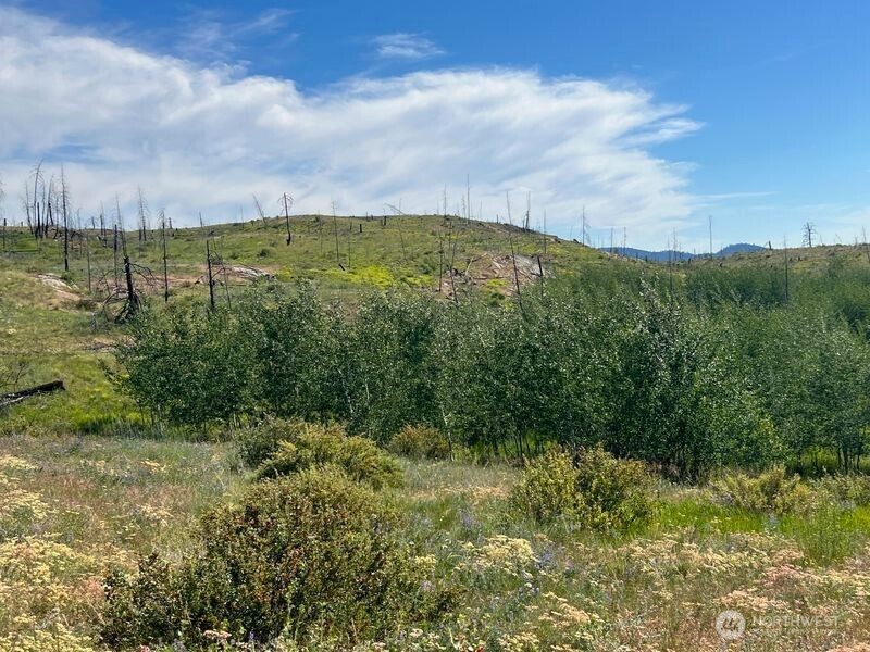 0 Lot 12 Lone Spur Road