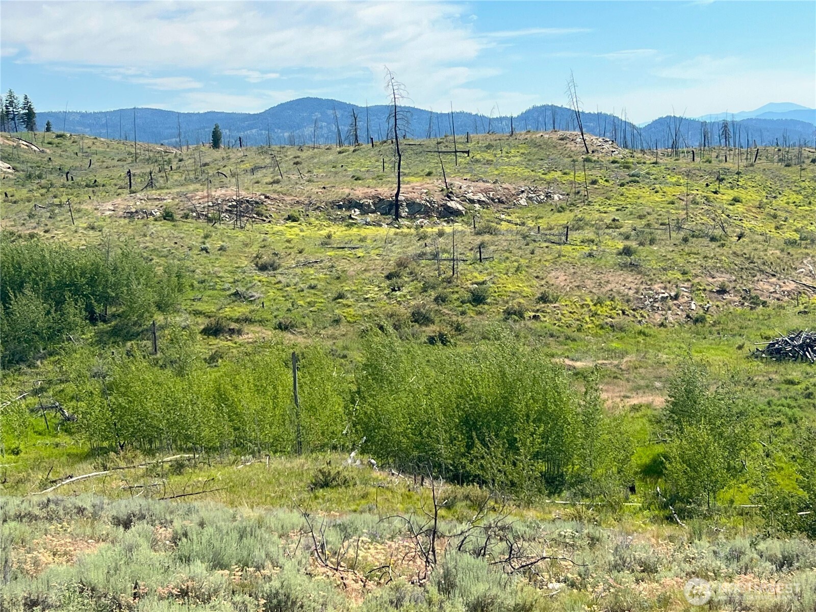 0 Lot 12 Lone Spur Road