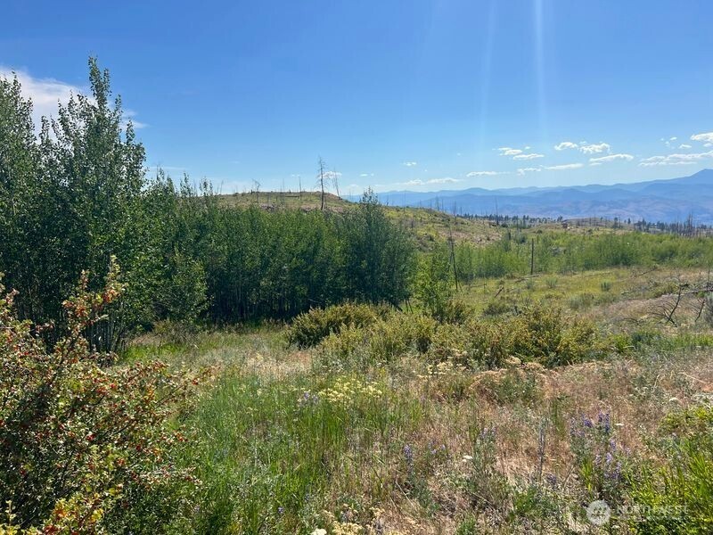 0 Lot 12 Lone Spur Road