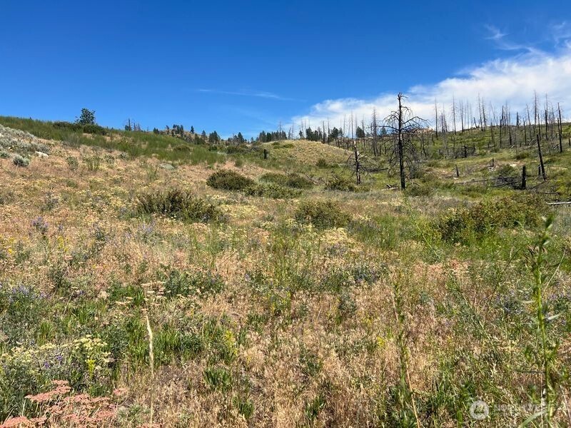 0 Lot 12 Lone Spur Road