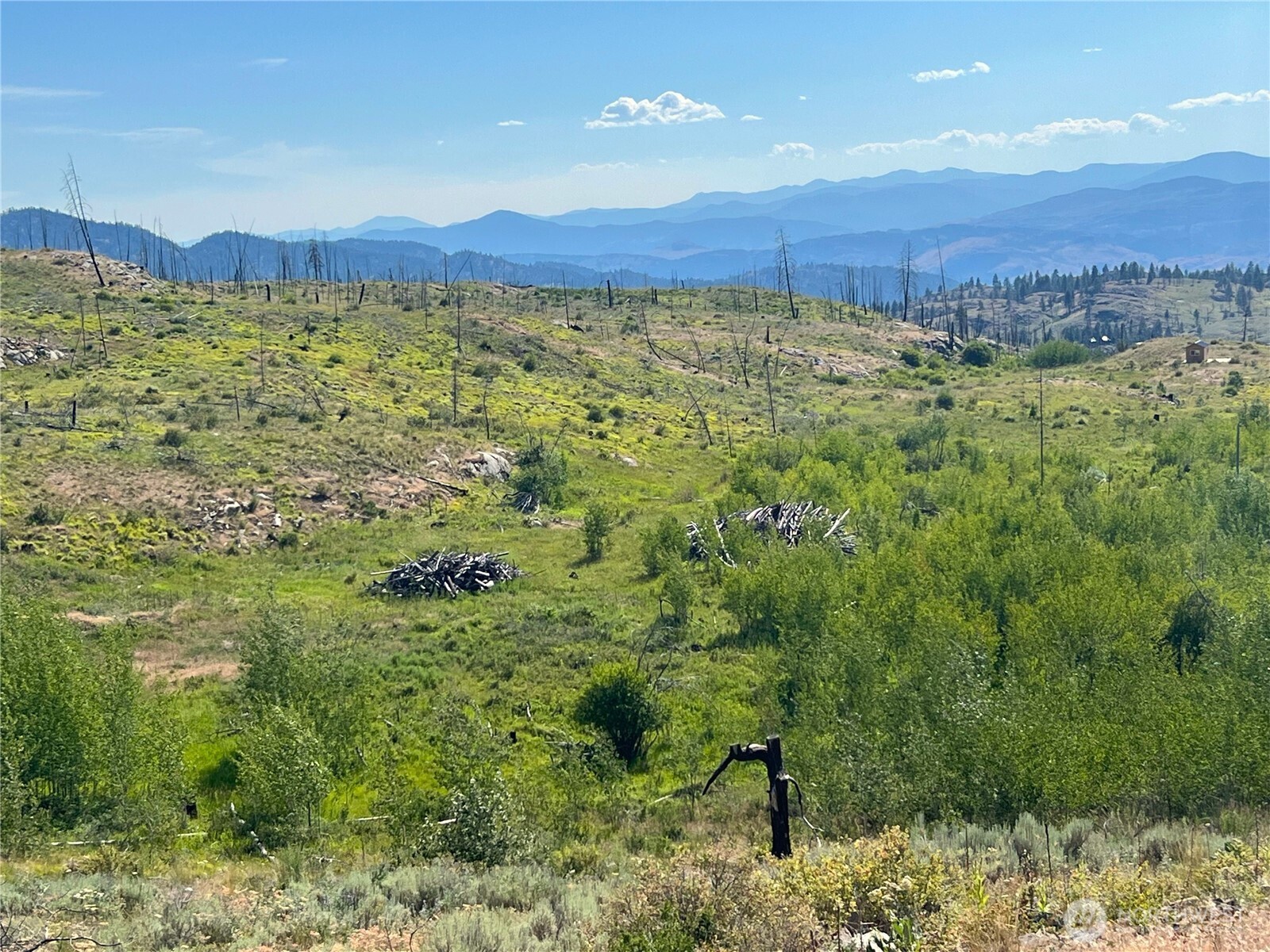 0 Lot 12 Lone Spur Road