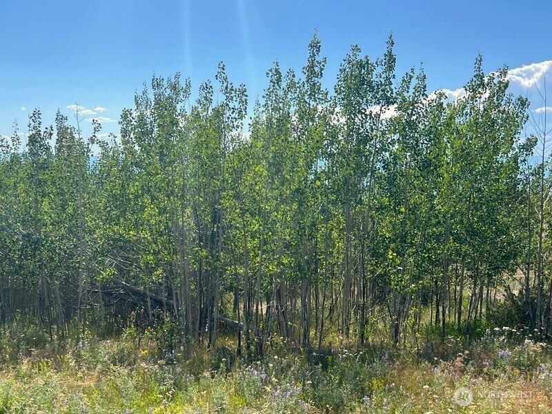 0 Lot 12 Lone Spur Road