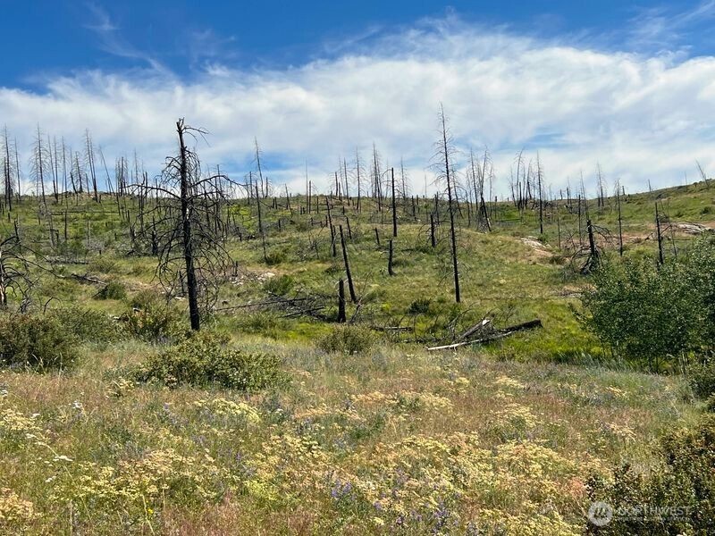 0 Lot 12 Lone Spur Road