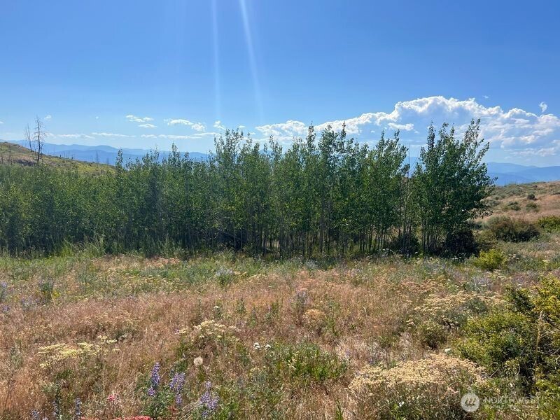 0 Lot 12 Lone Spur Road