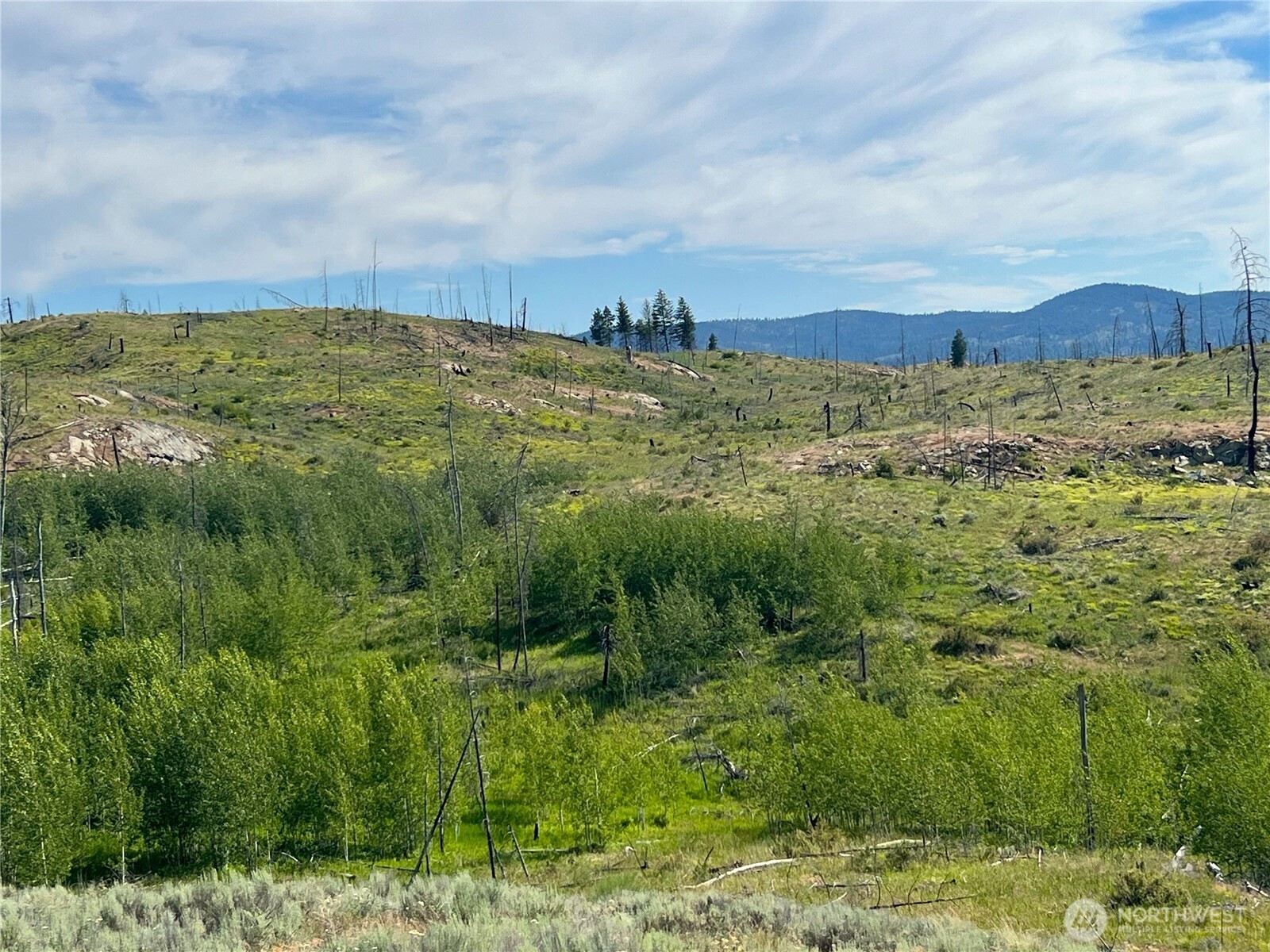 0 Lot 12 Lone Spur Road