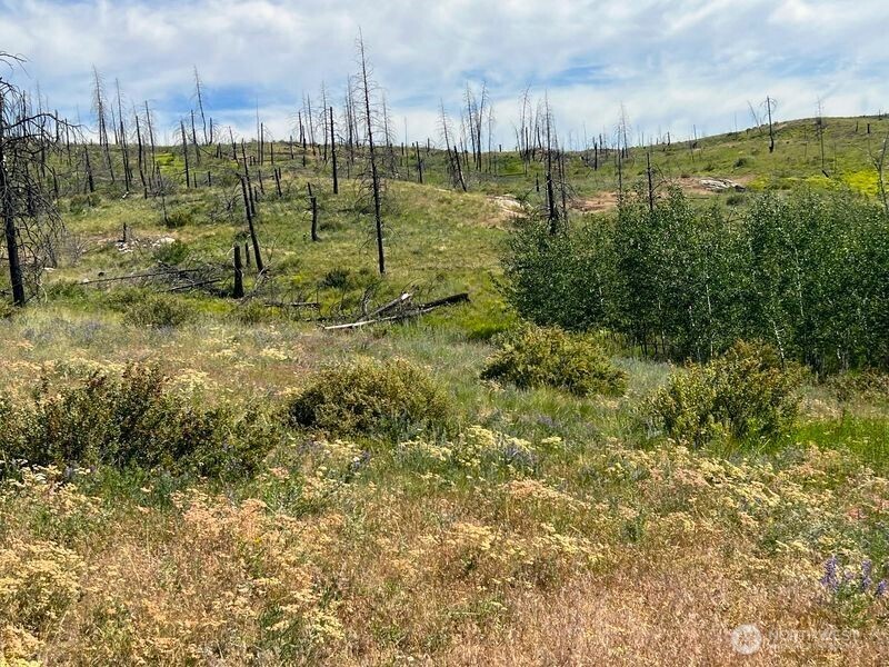 0 Lot 12 Lone Spur Road