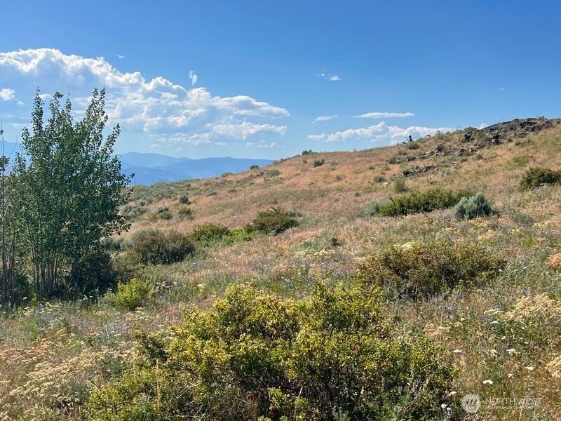 0 Lot 12 Lone Spur Road