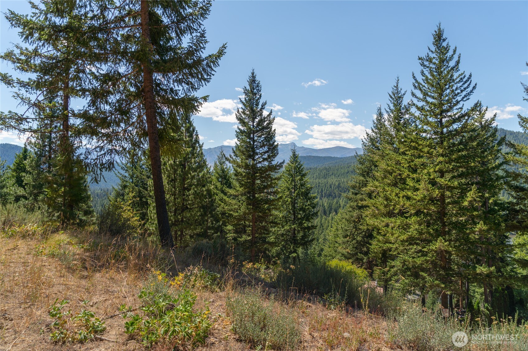 25601 Camp 12 Rd