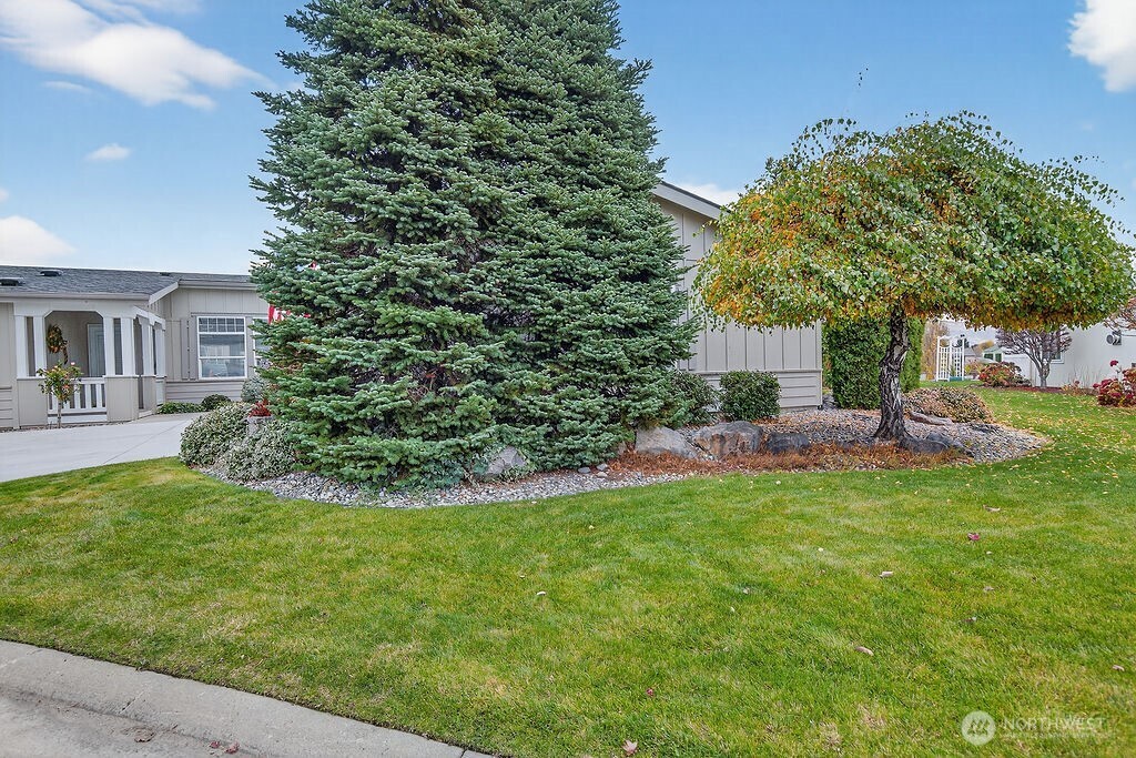 584 Canyon Drive