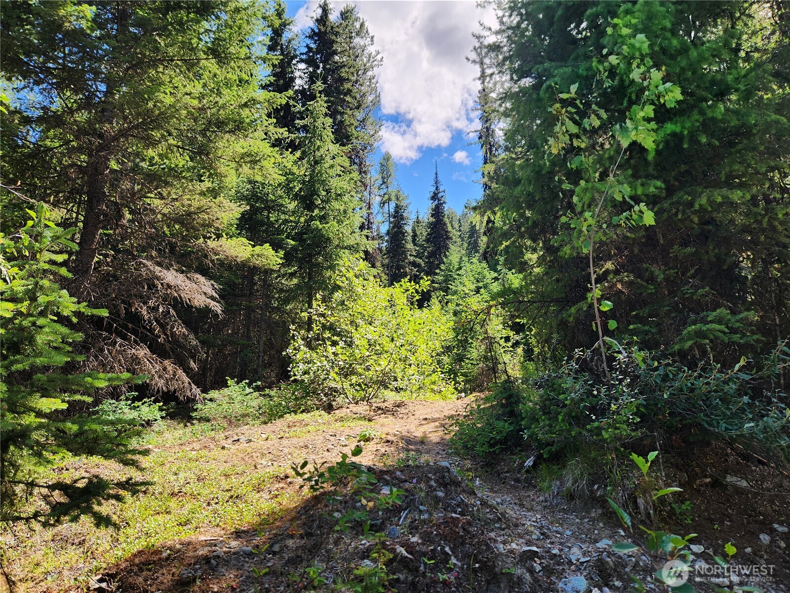 0 XX East Fork Cougar Creek Road