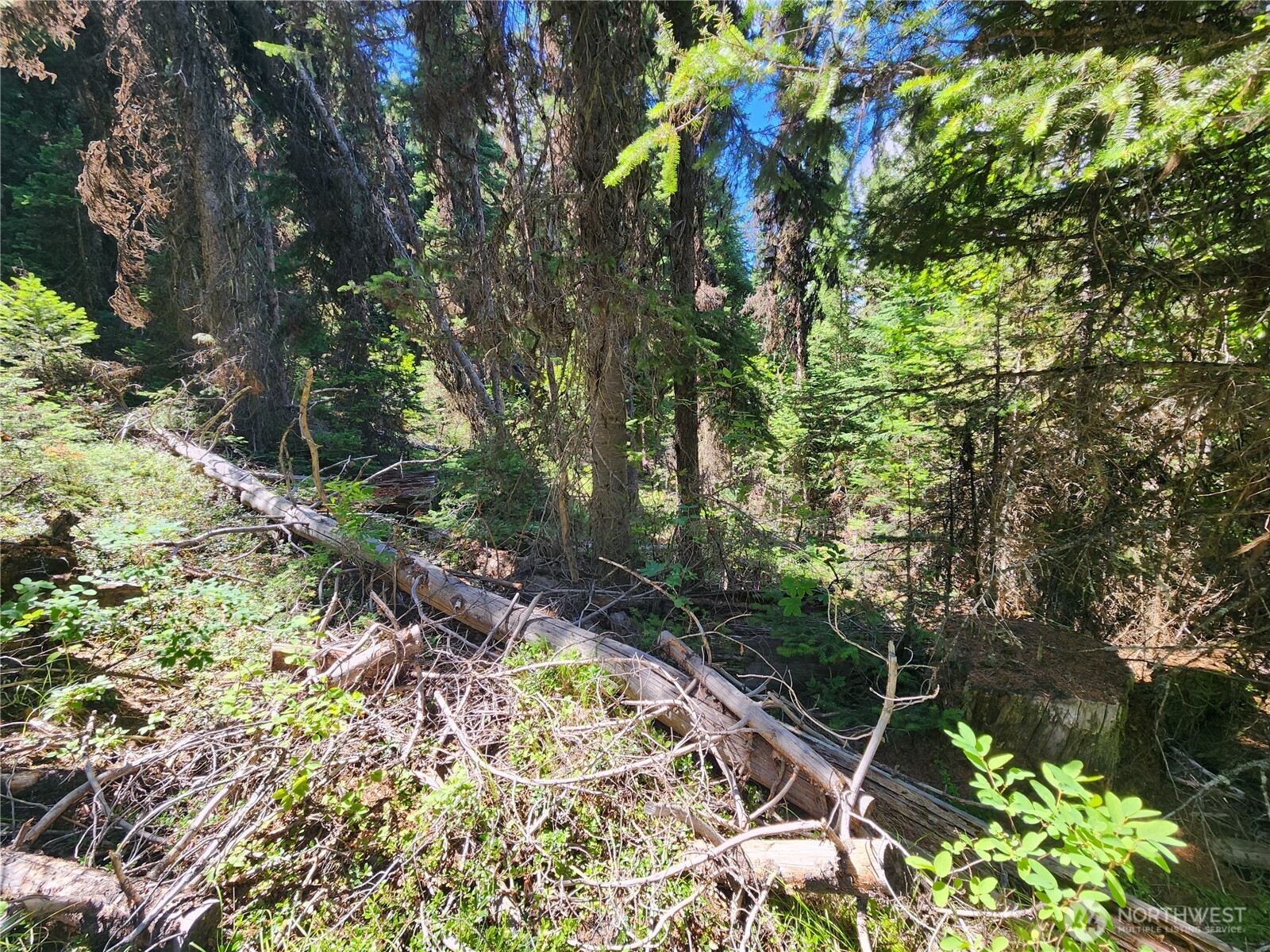 0 XX East Fork Cougar Creek Road