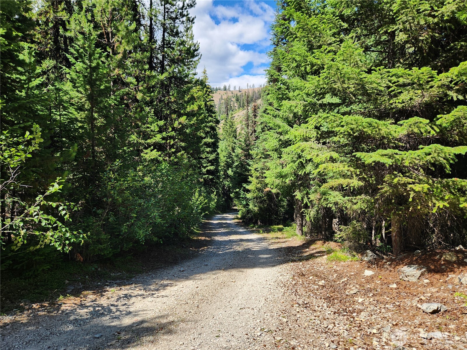 0 XX East Fork Cougar Creek Road
