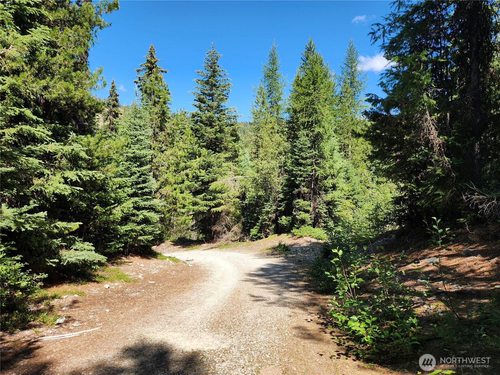 0 XX East Fork Cougar Creek Road