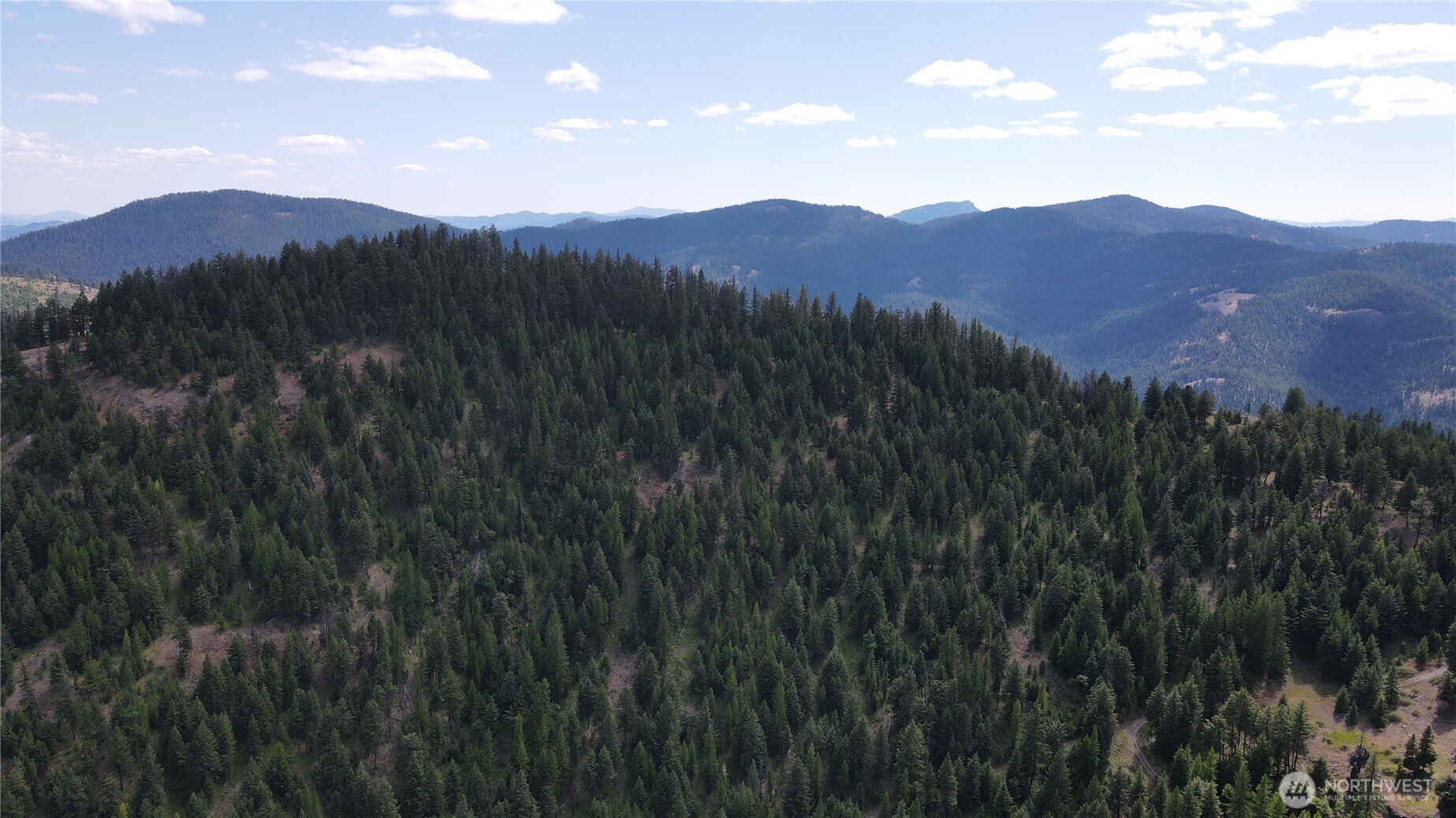 0 XX East Fork Cougar Creek Road