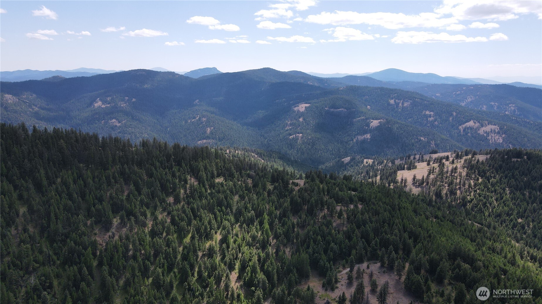 0 XX East Fork Cougar Creek Road