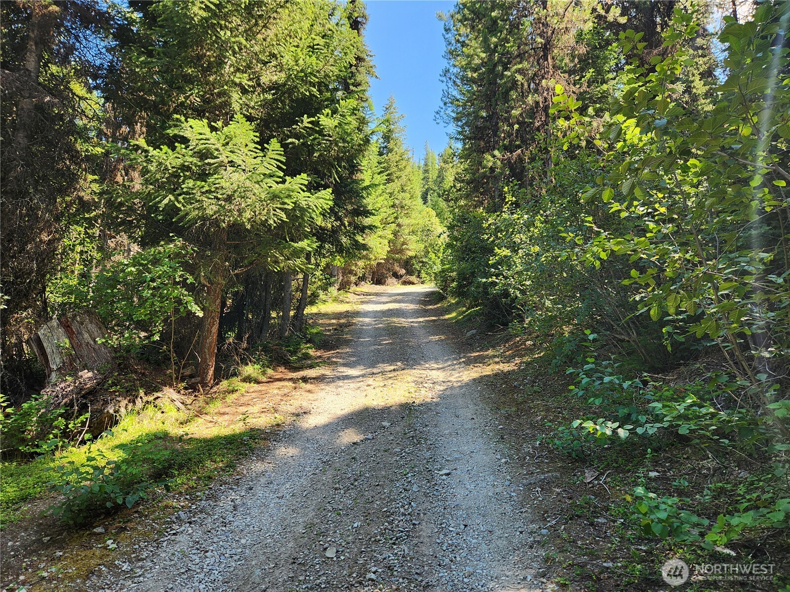 0 XX East Fork Cougar Creek Road