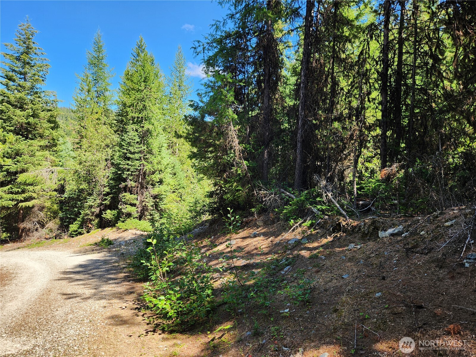 0 XX East Fork Cougar Creek Road