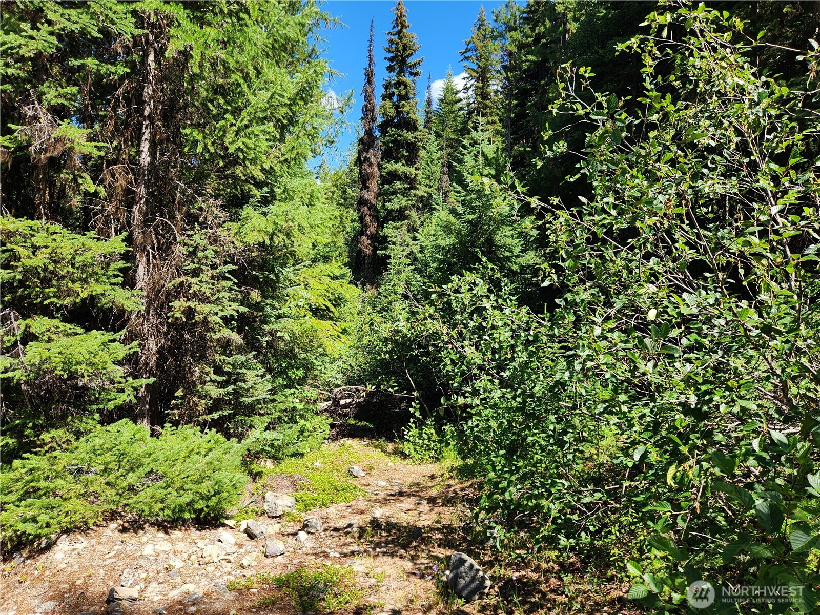 0 XX East Fork Cougar Creek Road