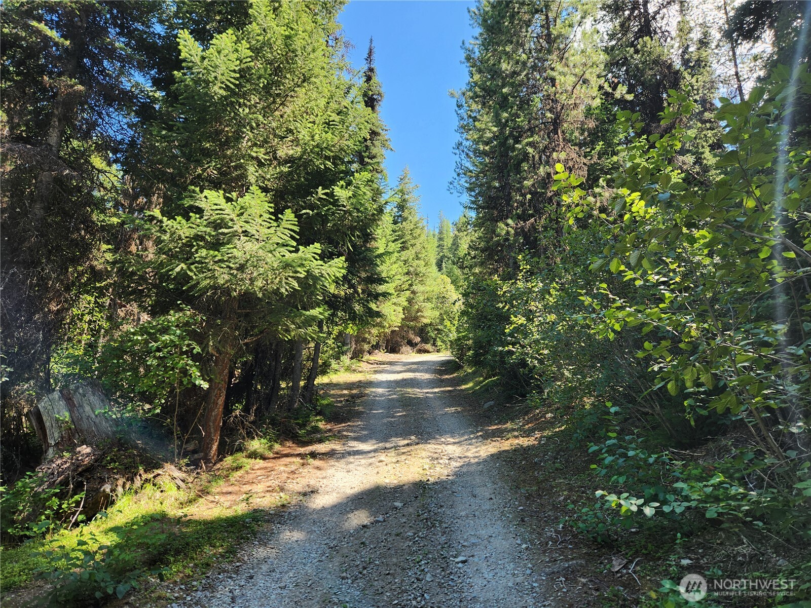 0 XX East Fork Cougar Creek Road