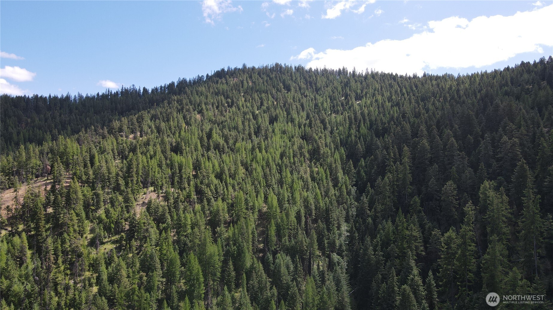 0 XX East Fork Cougar Creek Road