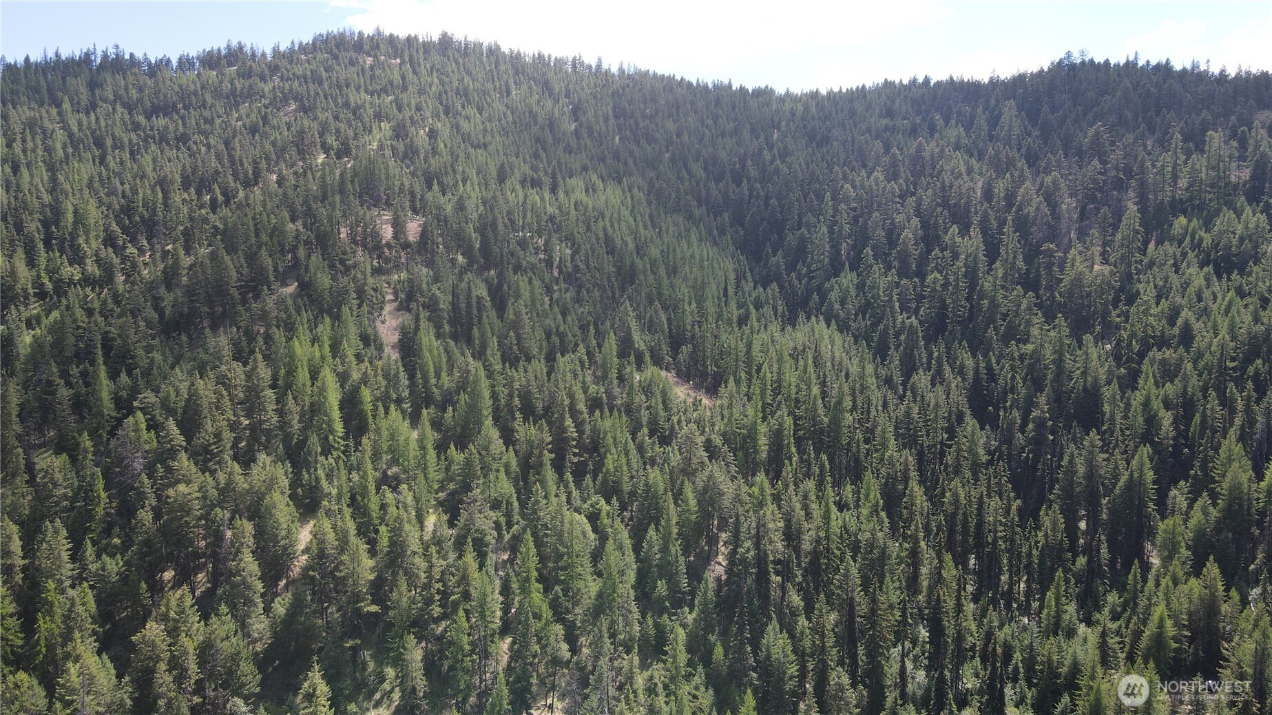 0 XX East Fork Cougar Creek Road