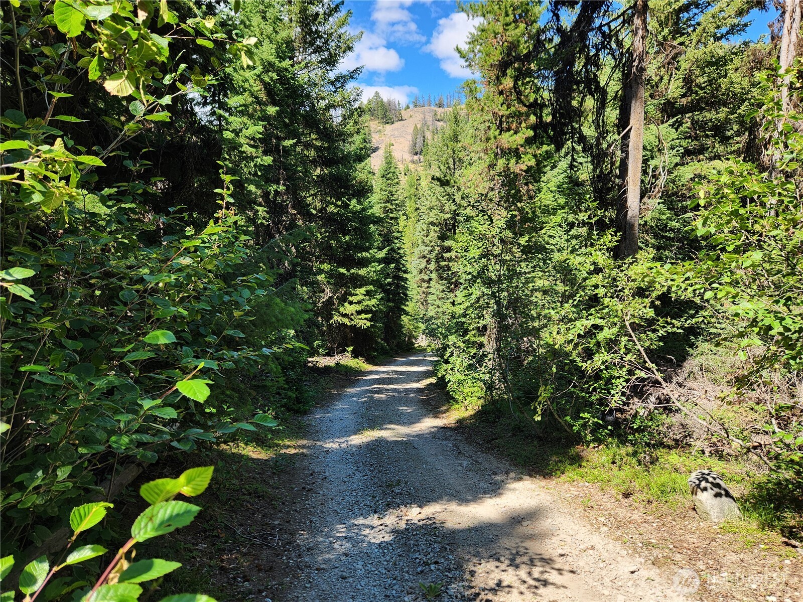 0 XX East Fork Cougar Creek Road