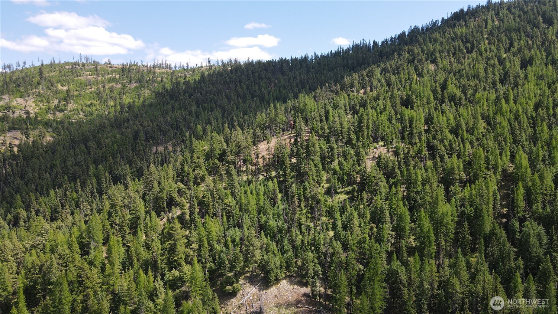 0 XX East Fork Cougar Creek Road