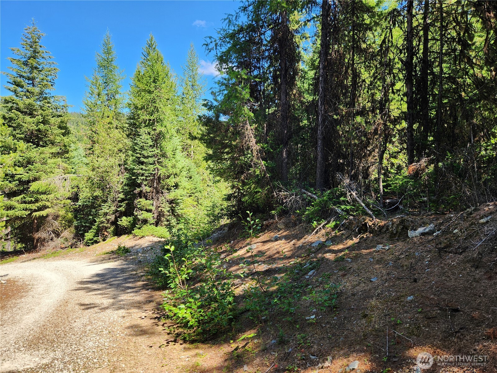 0 XX East Fork Cougar Creek Road