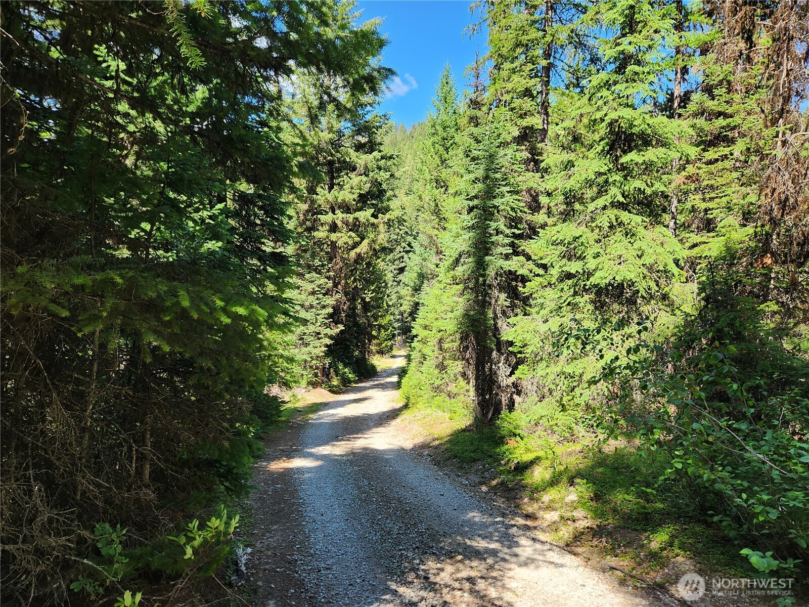 0 XX East Fork Cougar Creek Road