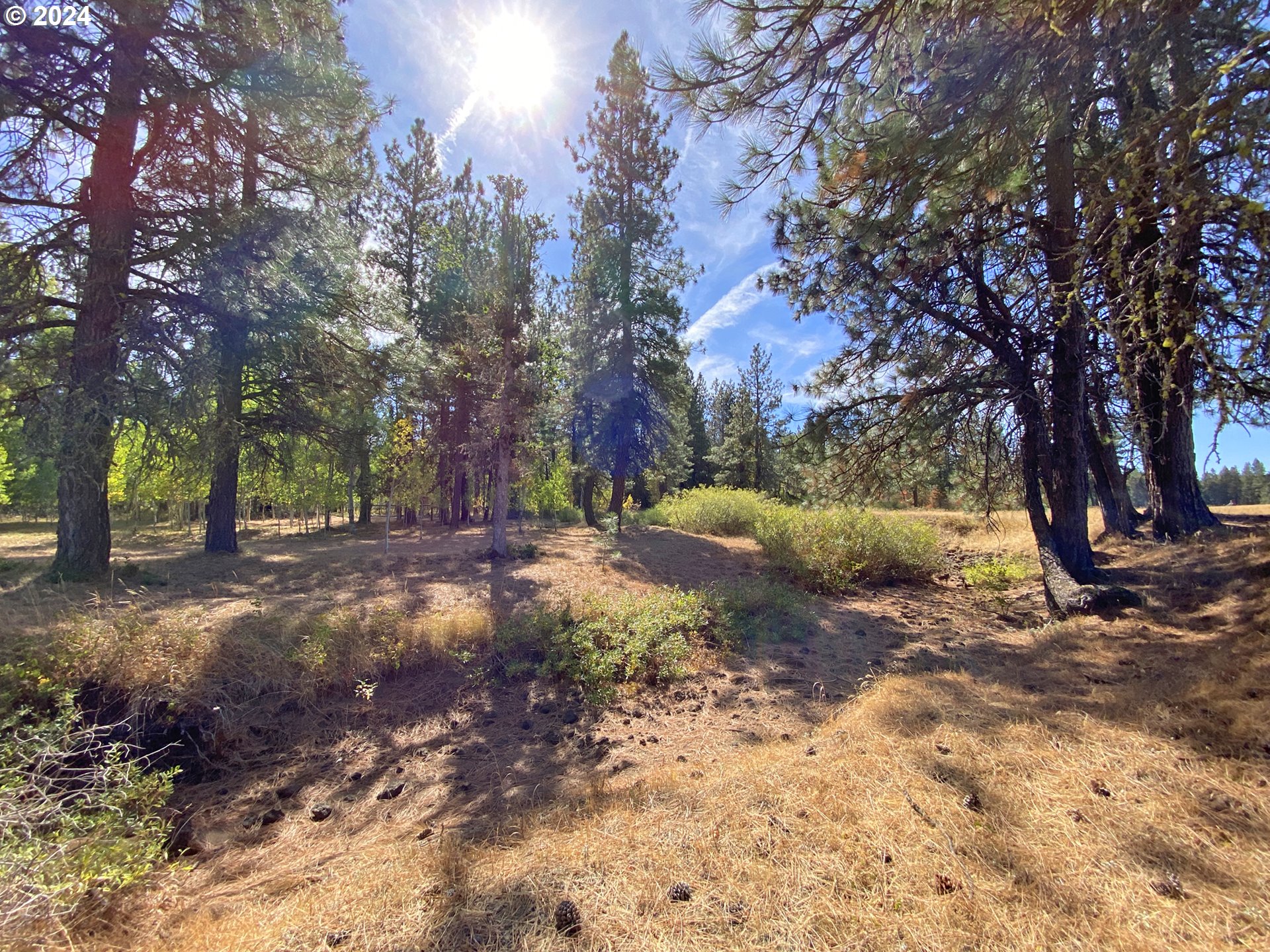 19 Elk View DR