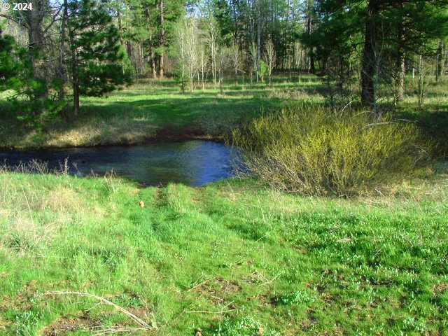 19 Elk View DR
