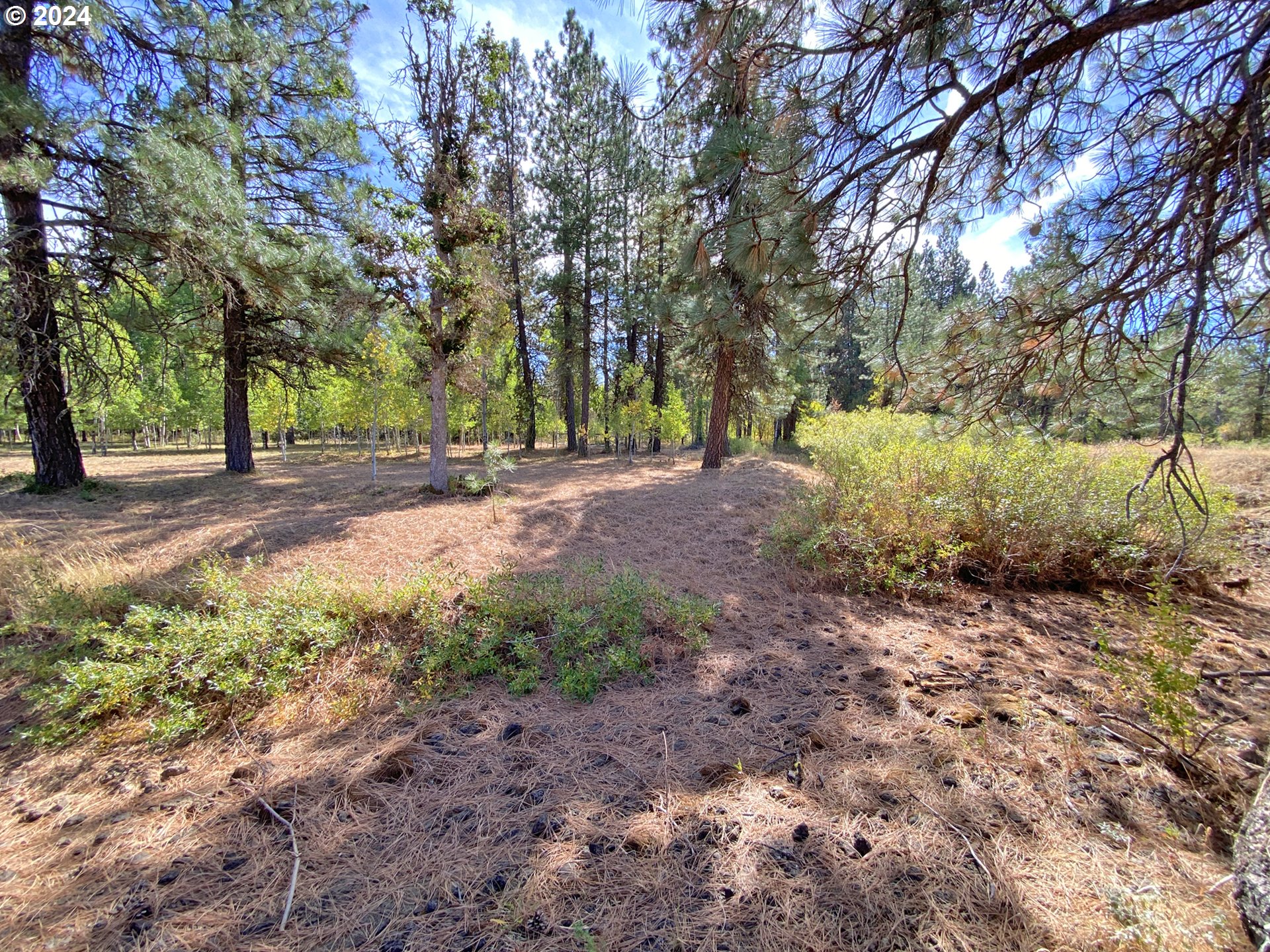 19 Elk View DR