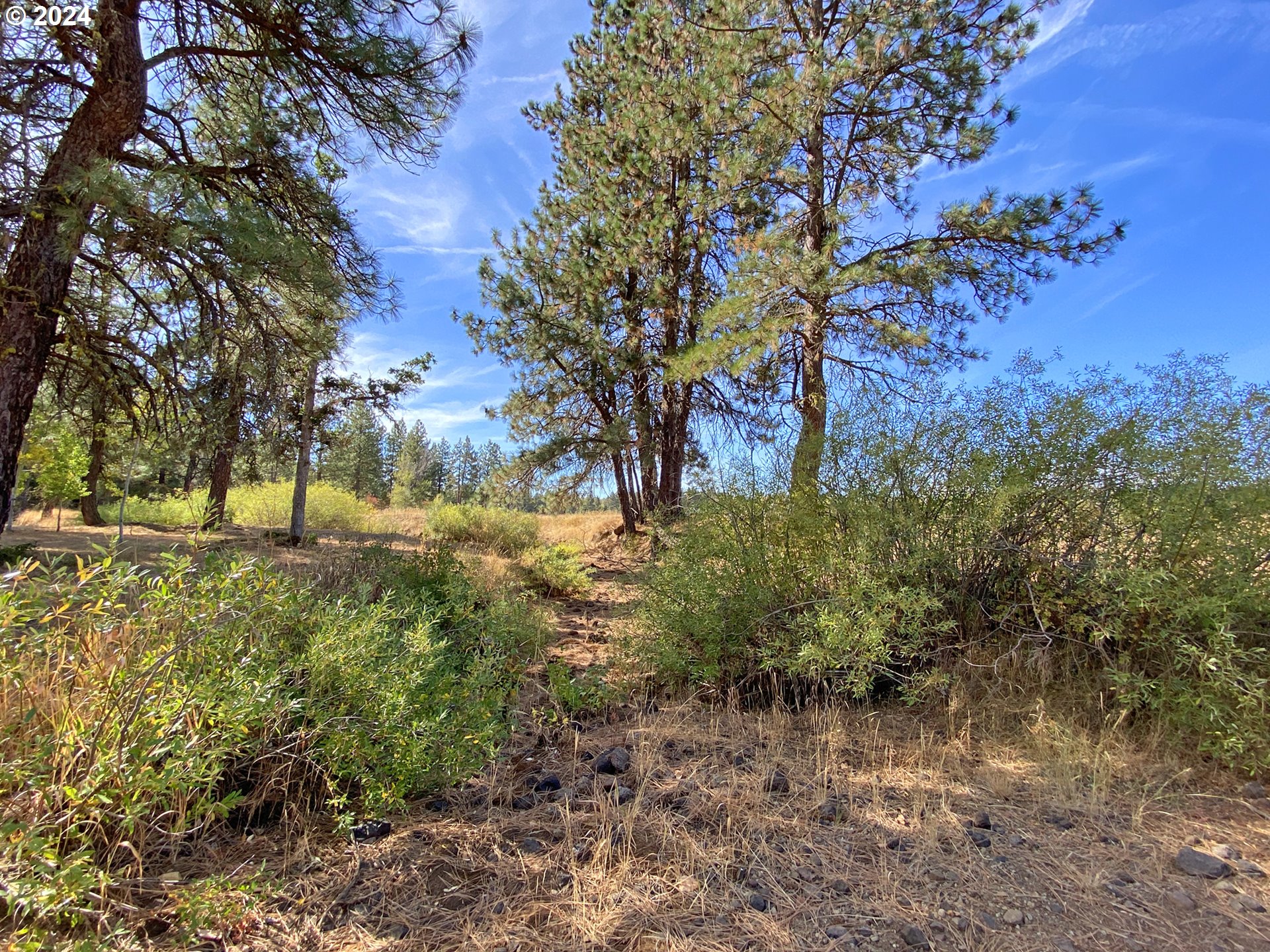 19 Elk View DR