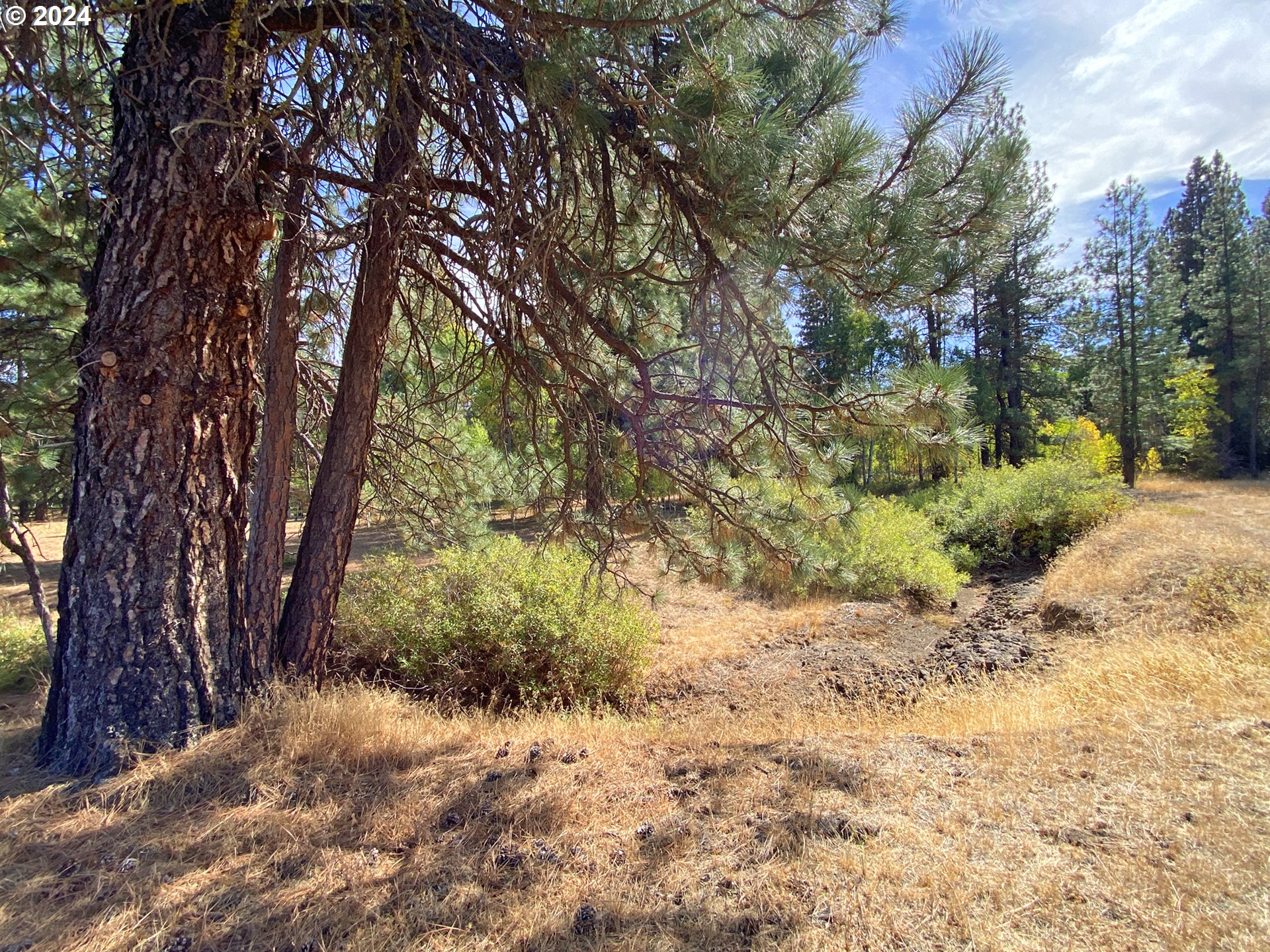 19 Elk View DR