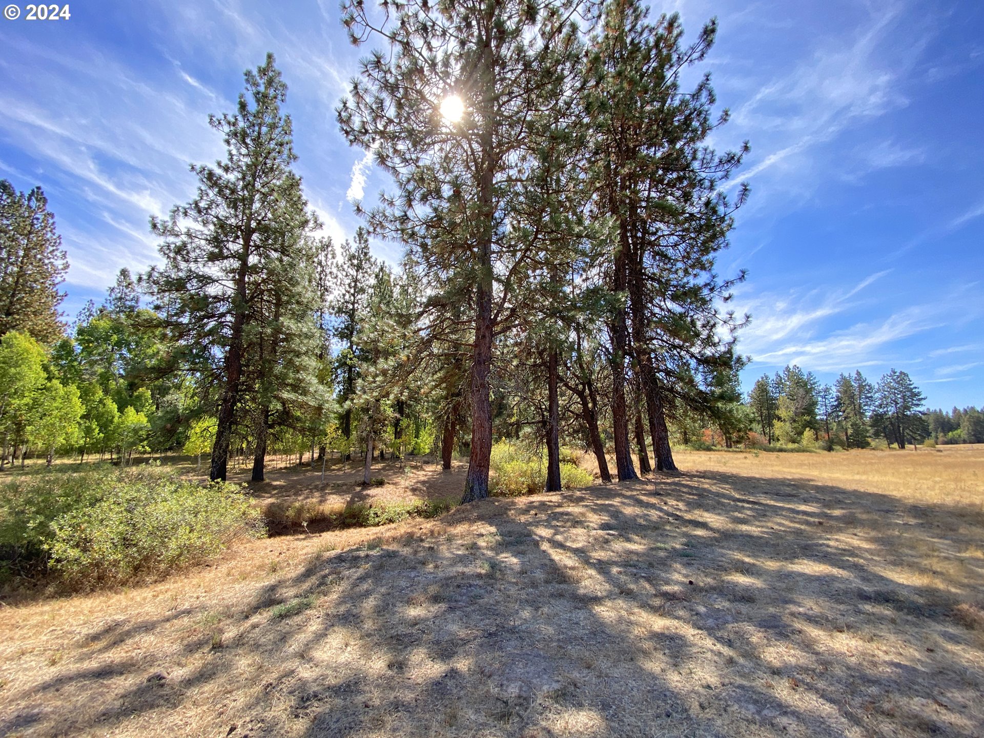 19 Elk View DR