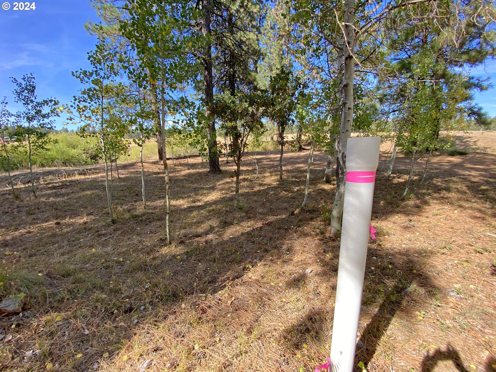 19 Elk View DR